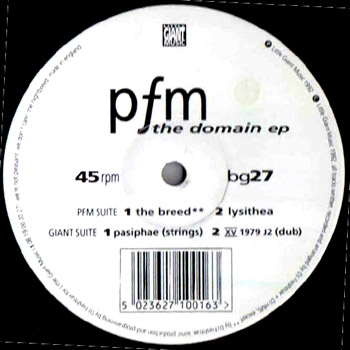 PFM - The Domain