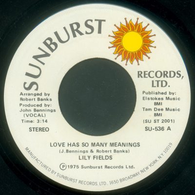 Lily Fields - Love Has So Many Meanings