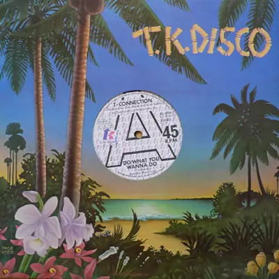 T-Connection ‎– Do What You Wanna Do