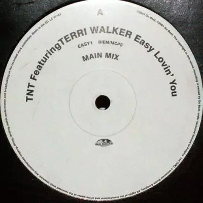 TNT Feat. Terri Walker ‎– Easy Lovin' You